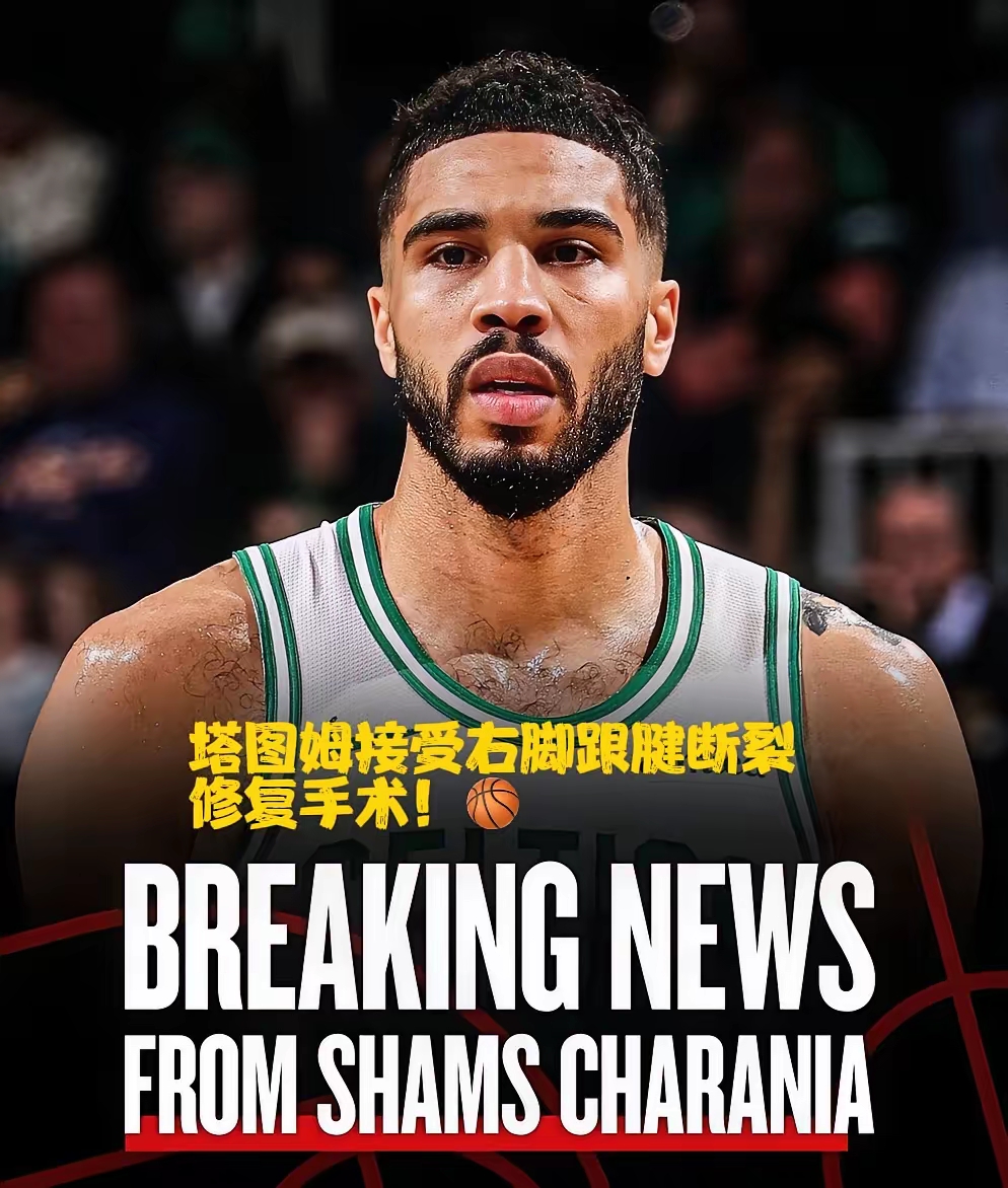 爱游戏-塞尔维亚队引发争议！，塔图姆官方宣布表现优异新规观众掌声雷动的简单介绍-爱游戏